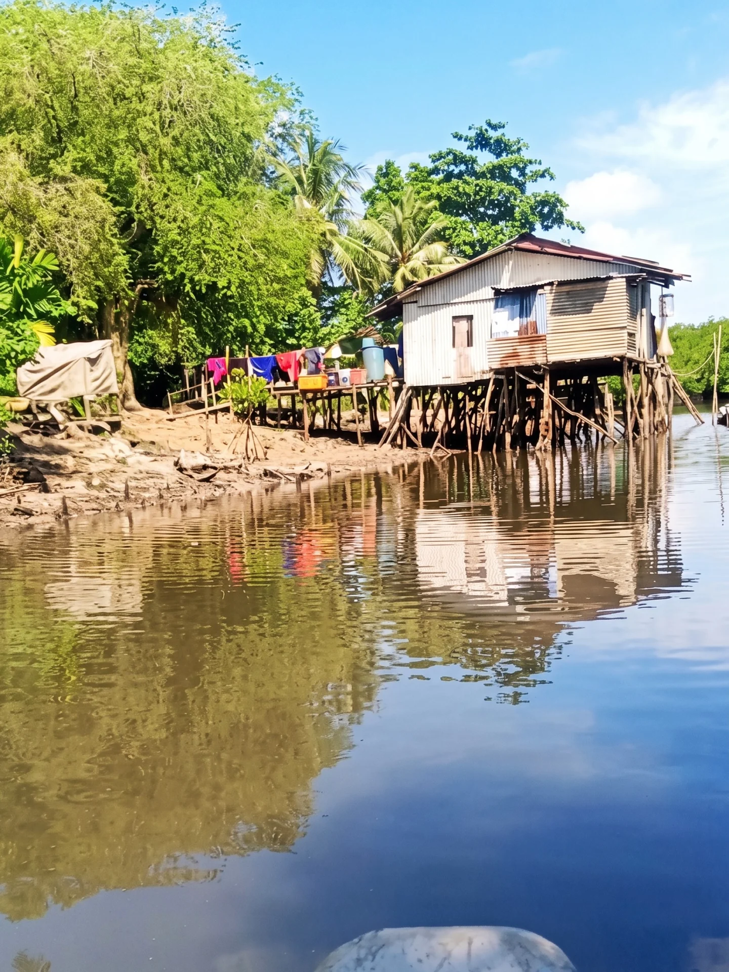 Best Fireflies Tour in Batam